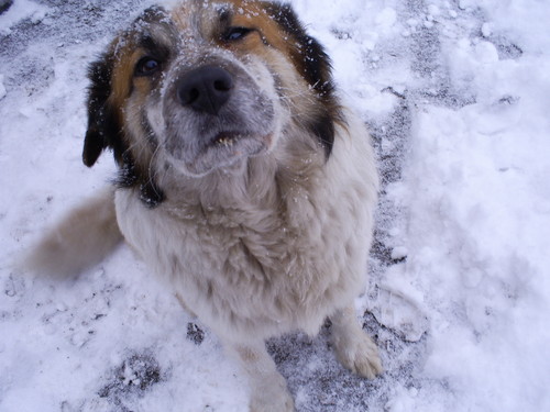 OSKAR