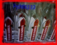 Cd. Biedronka