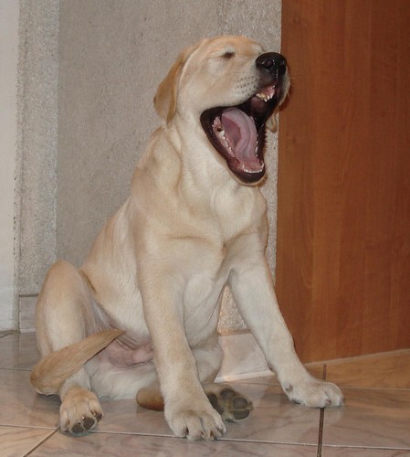 nuuuudaaaa :D