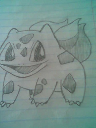 Pokemon xD