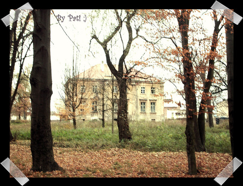 Wpis nikola2002