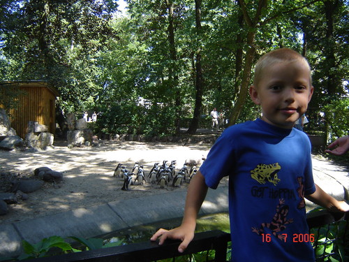 Wpis patryk854