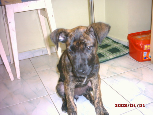 wera