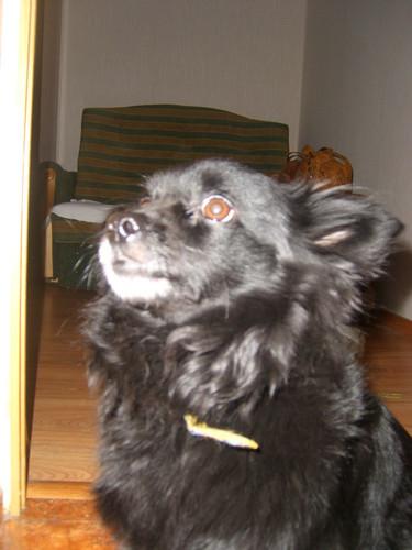 Wpis roxi03