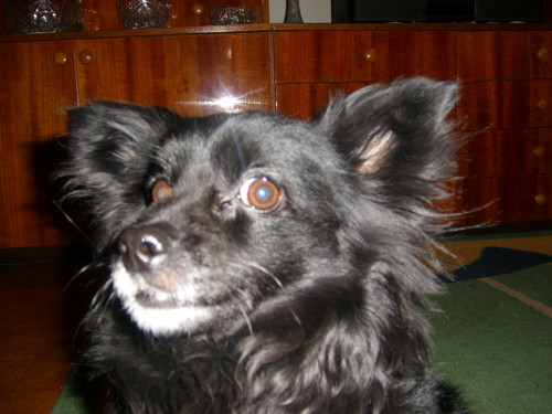 Wpis roxi03