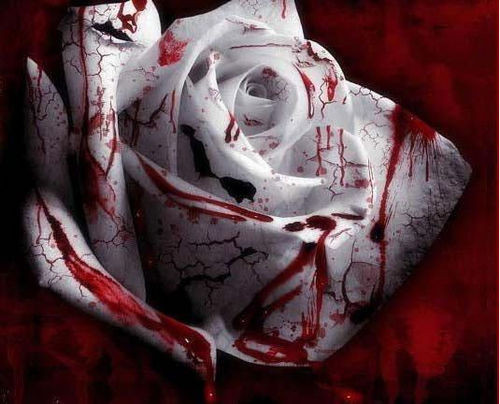 BY BLOODYSWEET