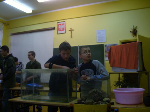 Wpis gim21torun