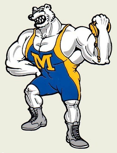 Wrestling Bear