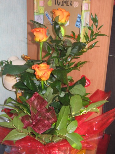 Wpis pijem