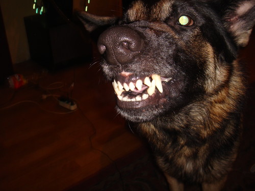 Borys