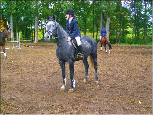 Wpis stirrups