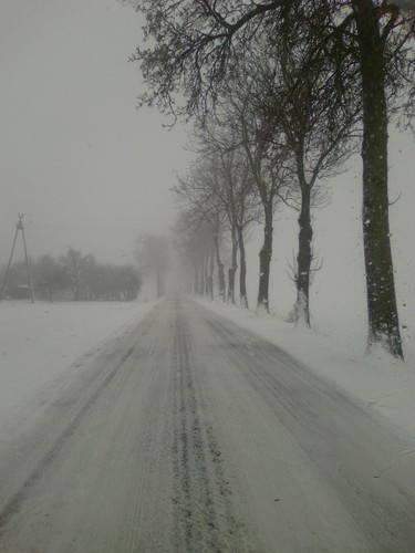 Zima 2008