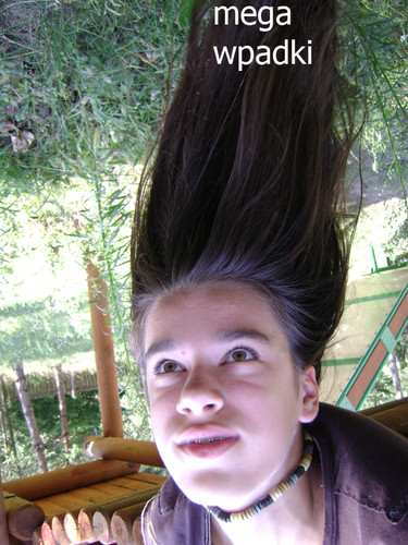 wiskie ycie