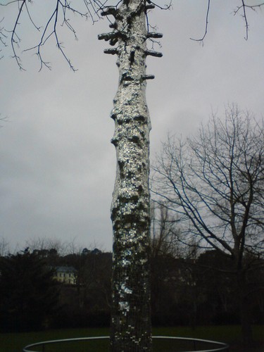 Drzefko