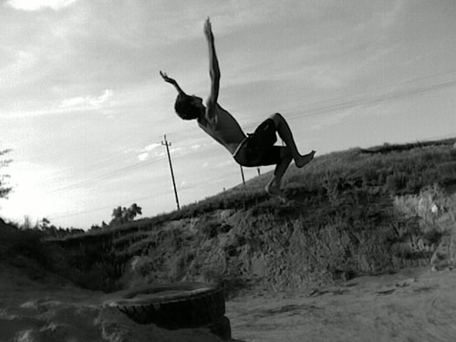 Gainer