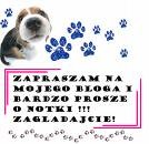daj komcia 