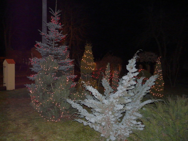 wita 2007