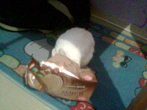 Frycek:)