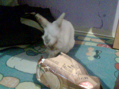 Frycek2:)