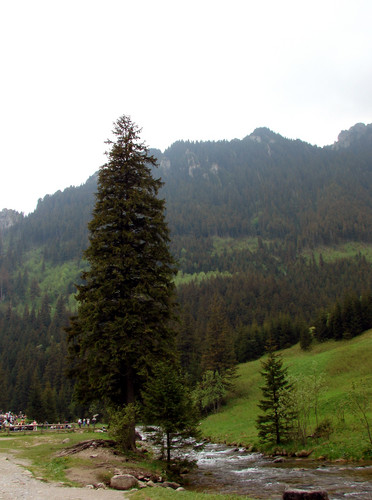 Wpis maalgosia