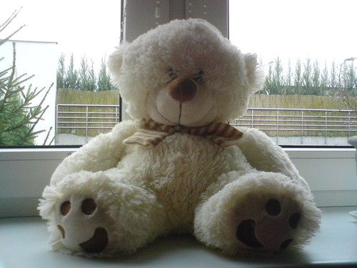 Wpis sindir95