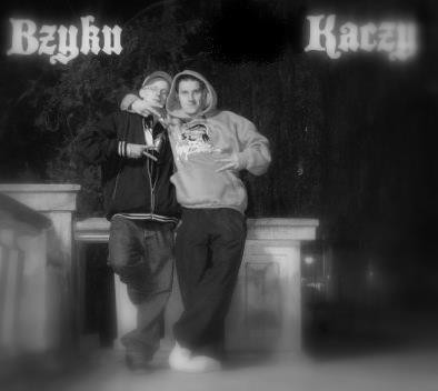 Wpis bzyqola