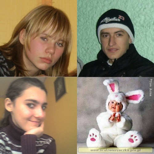 przepraszam. . .