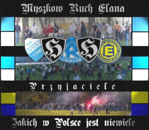 Wpis lizak95