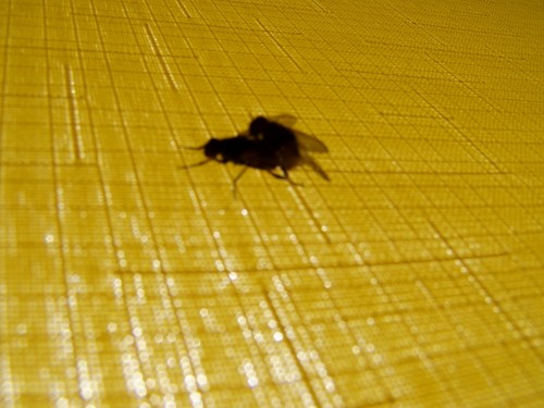 Nakryci...=]