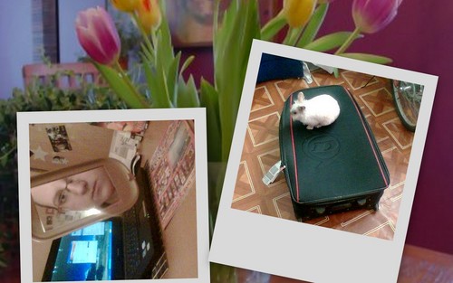 Wpis karlaa2724