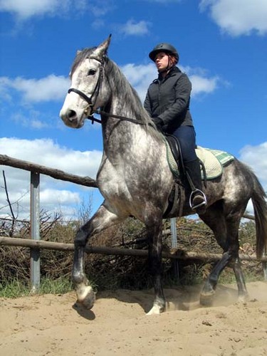 Burza