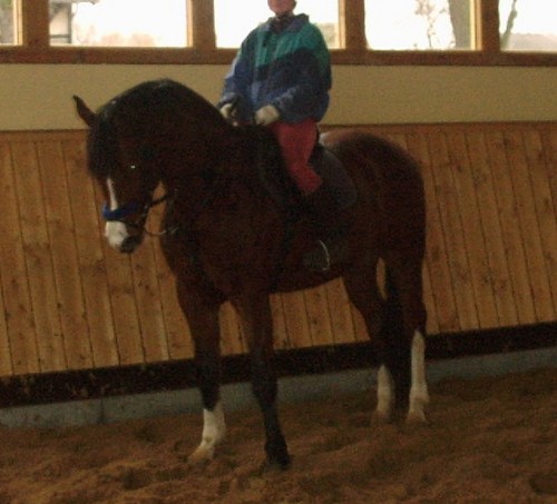 w niemczech