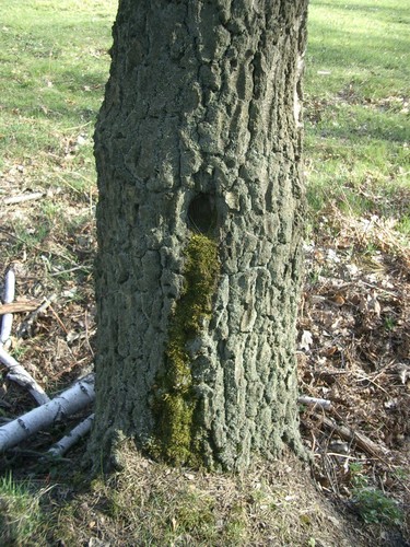 eby zobaczy tytu wcinij F13.