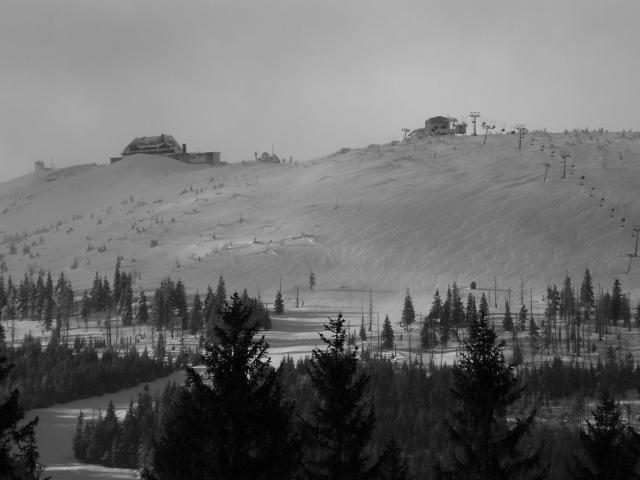 Szrenica