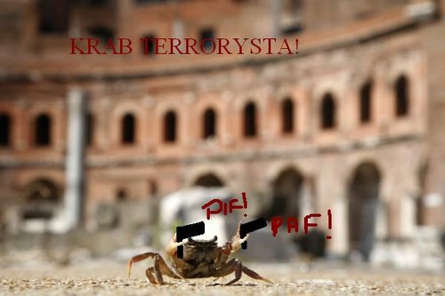 Wpis jebnietetrio