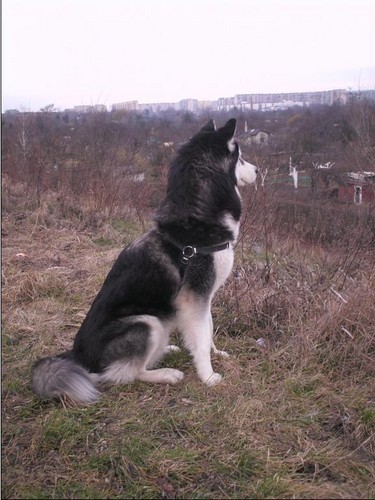Wpis endrukolczyk