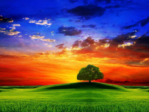 Dream..