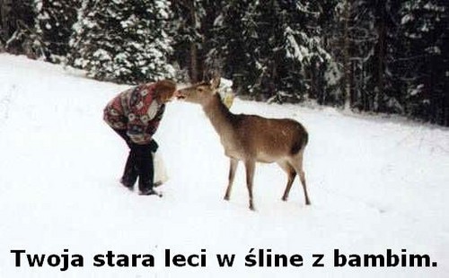 Twoja Stara :)