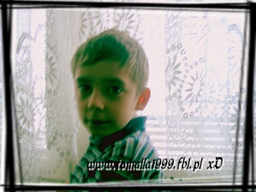 Wpis tomalla1999