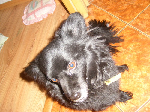Wpis roxi03