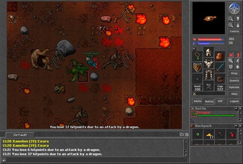 Tibia