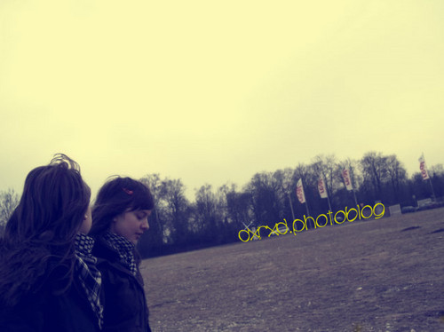 Wpis dxrxd