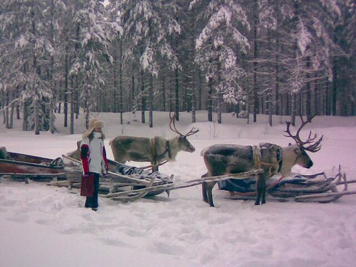 Reinder in Finland