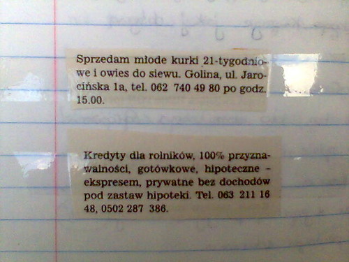 8. Walcz o kraj, w kiblu sraj!