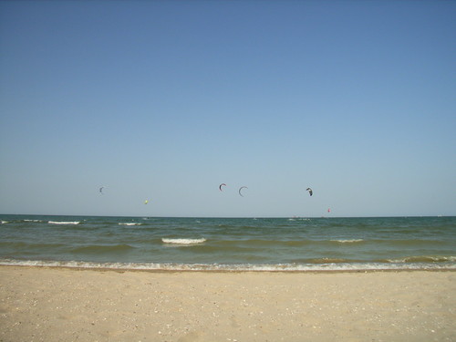 [12] Mare Italiano..