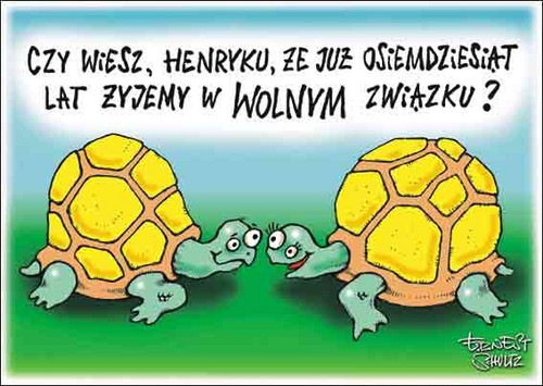 Wpis minikrab6
