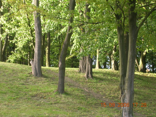 Park ... 