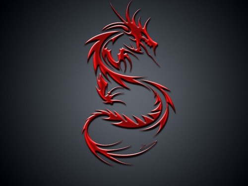 Dragon :)
