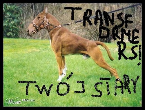 Twoj sTary ... Transformers :)