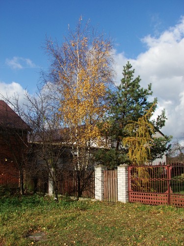 Wpis maalgosia